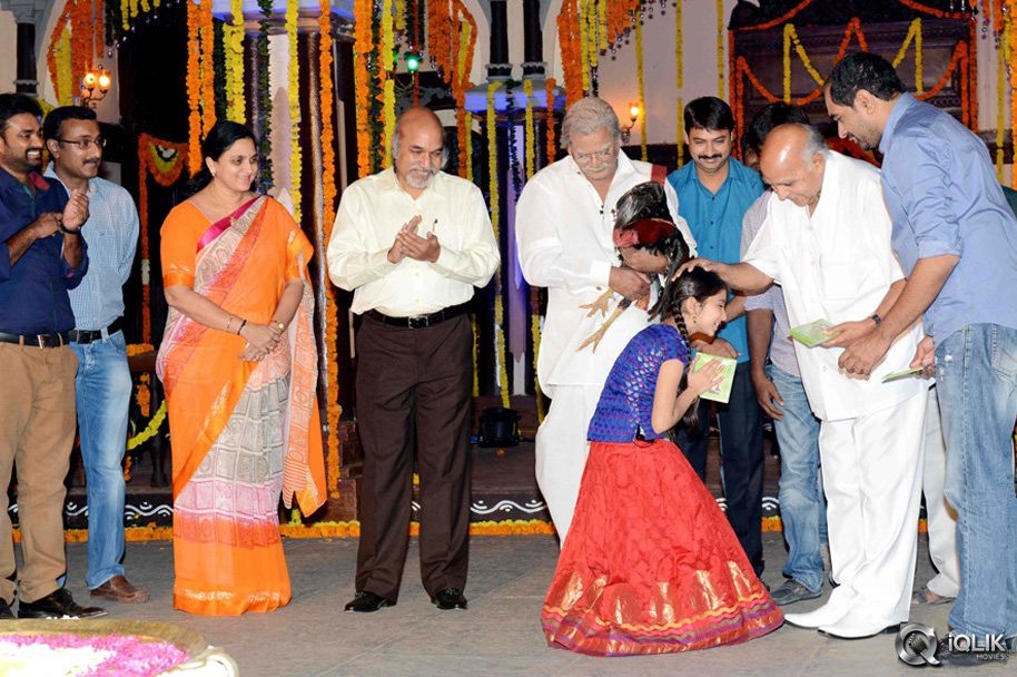 Dagudumutha-Dandakor-Movie-Audio-Launch